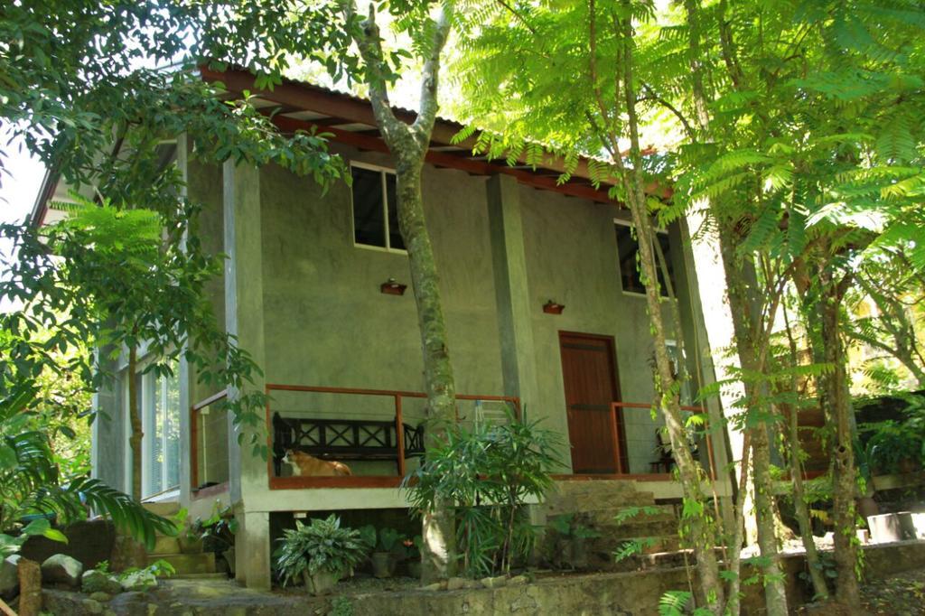 Willa Executive Residency Retreat Hikkaduwa Zewnętrze zdjęcie